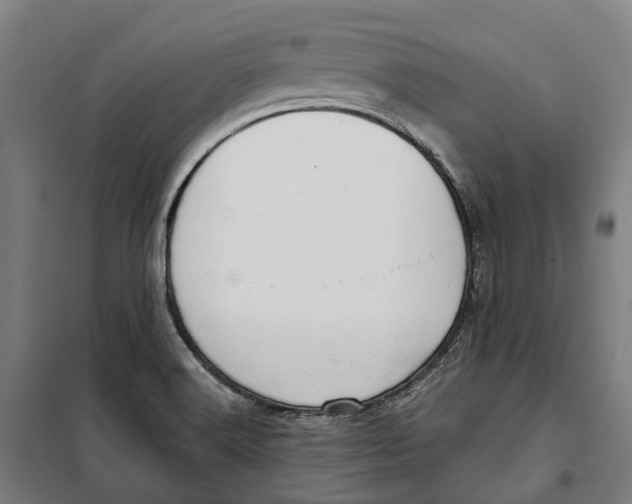 X0000099561516200806061528