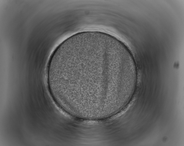 X0000099561517200806061528