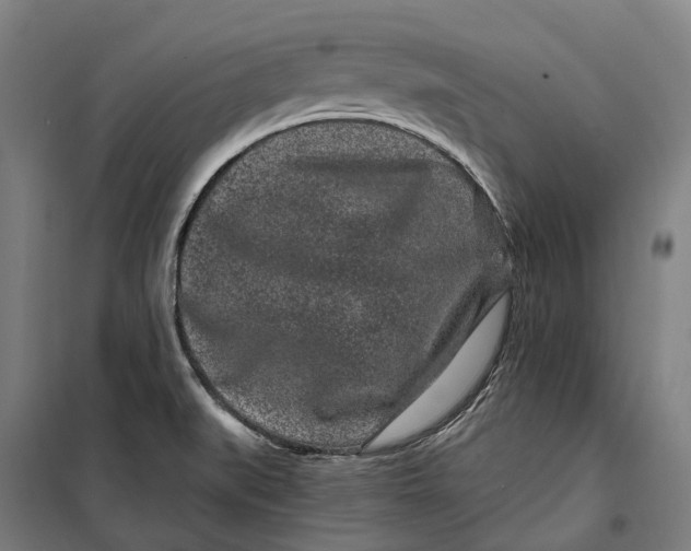 X0000099561519200806061528