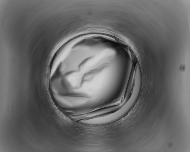 X0000099561520200806061528