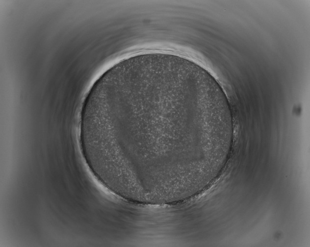 X0000099561523200806061528