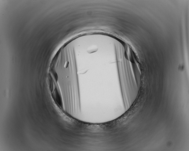 X0000099561524200806061528