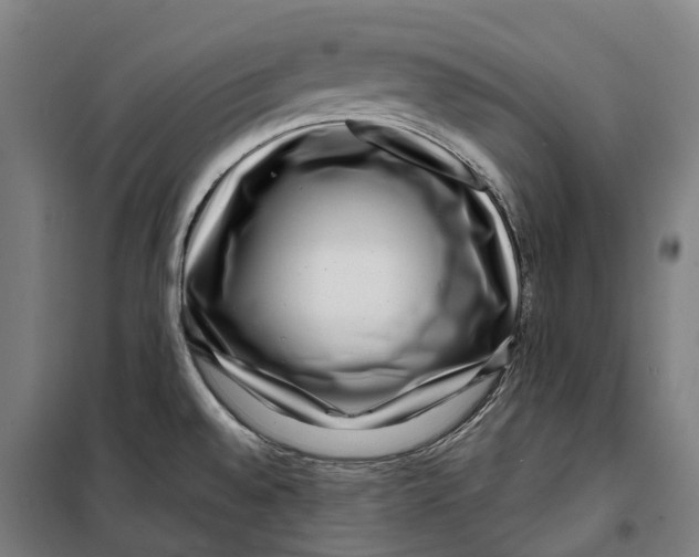 X0000099561528200806061528