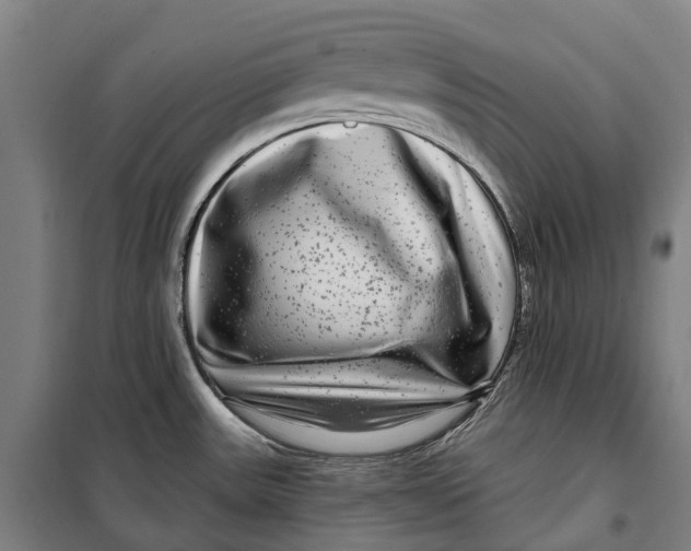 X0000099561531200806061528