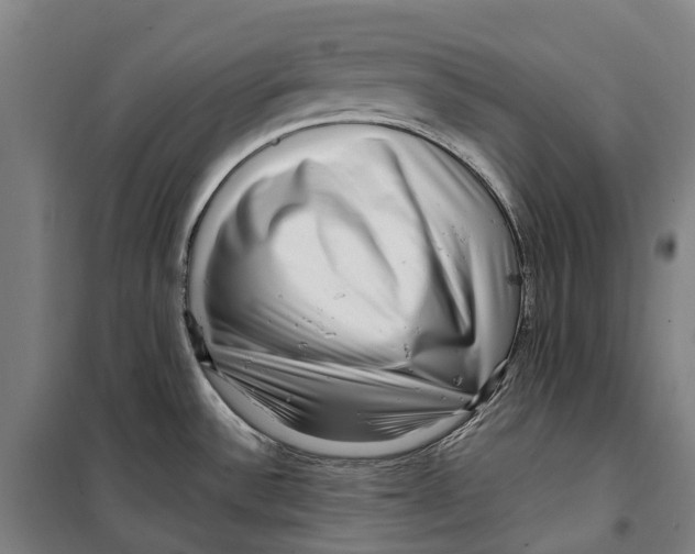 X0000099561532200806061528