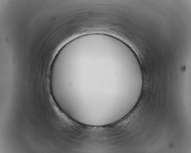 X0000099561534200806061528