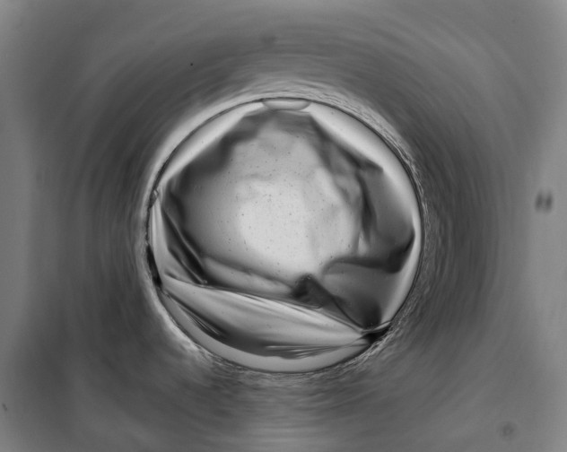 X0000099561536200806061528