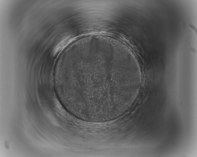 X0000099560002200806131244