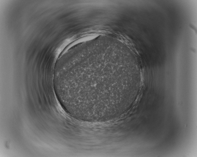 X0000099560003200806131244