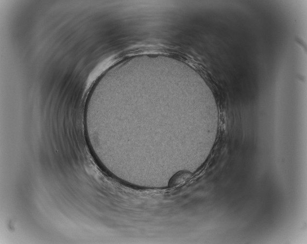 X0000099560004200806131244