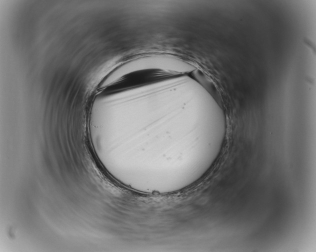 X0000099560005200806131244