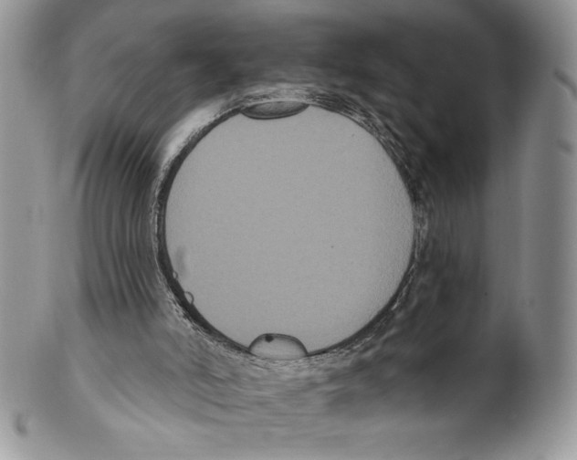 X0000099560006200806131244