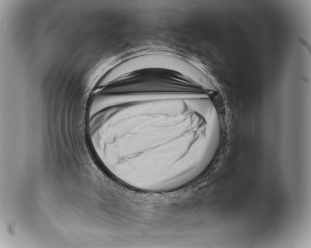X0000099560007200806131244