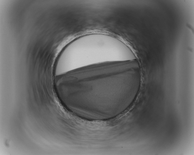 X0000099560008200806131244