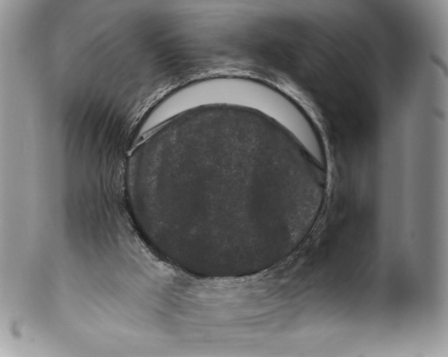 X0000099560009200806131244