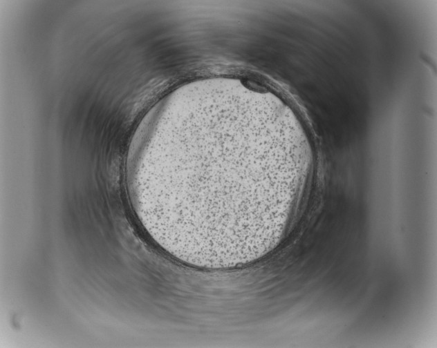X0000099560010200806131244
