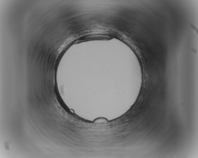 X0000099560011200806131244