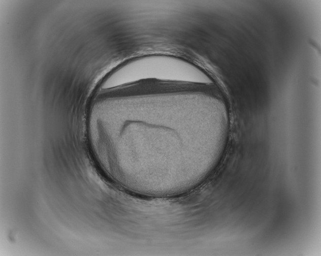 X0000099560012200806131244