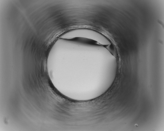 X0000099560013200806131244