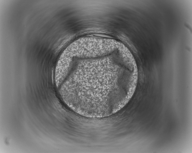 X0000099560014200806131244