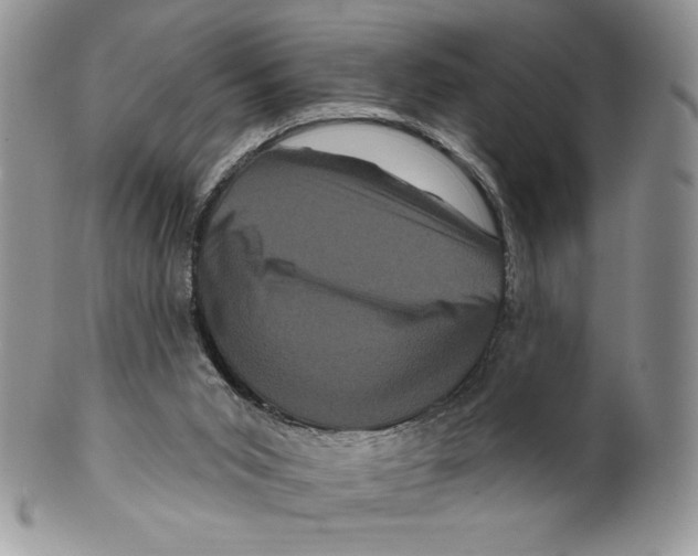 X0000099560015200806131244