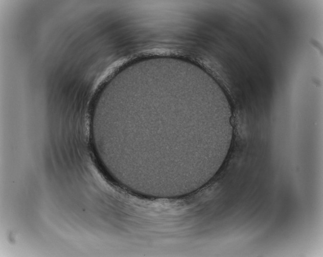 X0000099560016200806131244