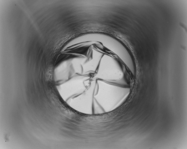 X0000099560017200806131244
