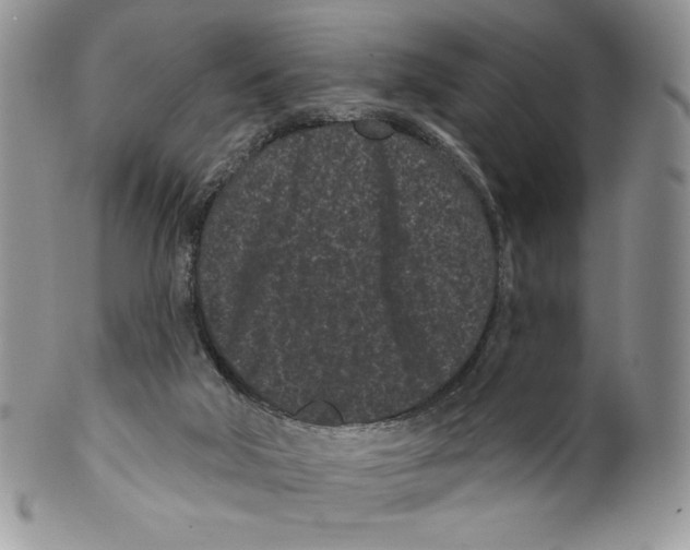 X0000099560018200806131244