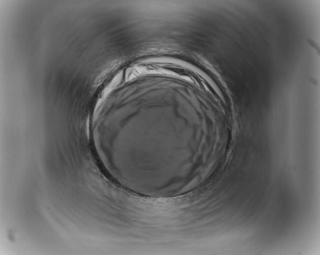 X0000099560019200806131244