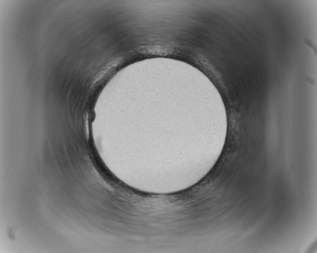 X0000099560020200806131244