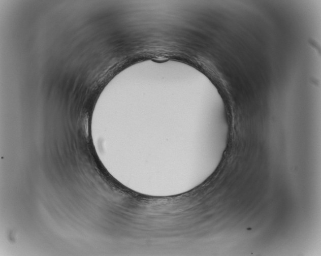 X0000099560021200806131244