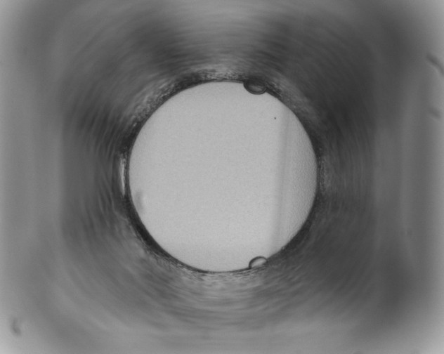 X0000099560022200806131244