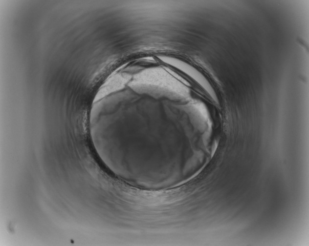 X0000099560023200806131244