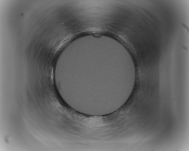 X0000099560024200806131244