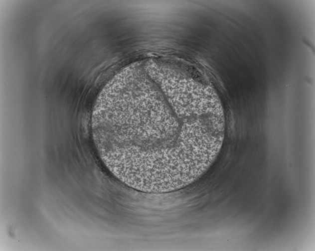 X0000099560026200806131244