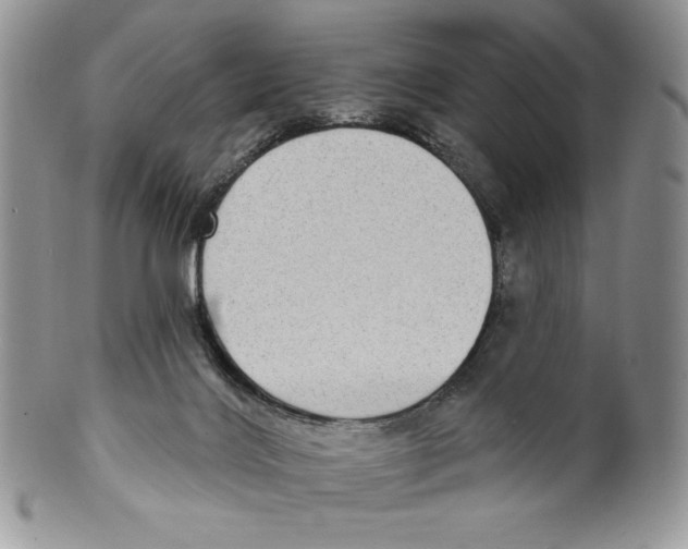 X0000099560028200806131244