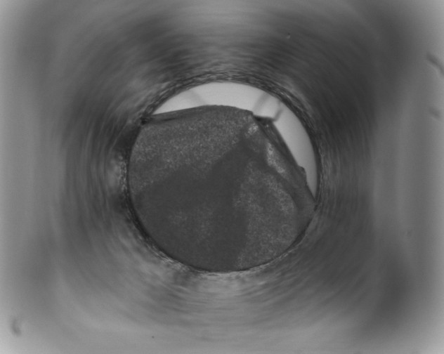 X0000099560029200806131244