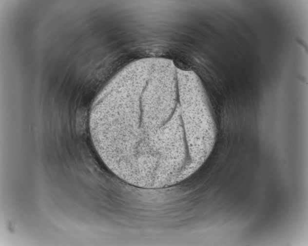 X0000099560030200806131244