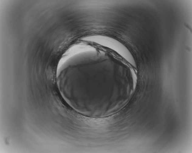 X0000099560031200806131244