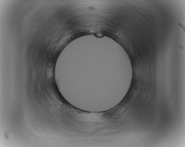 X0000099560032200806131244