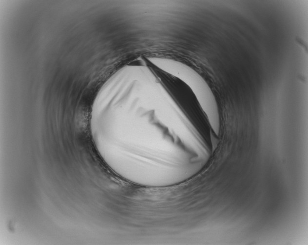 X0000099560033200806131244