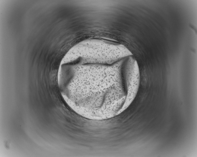 X0000099560034200806131244
