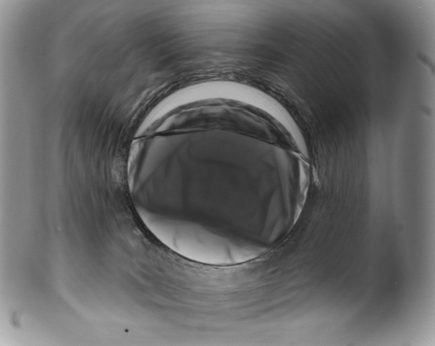 X0000099560035200806131244