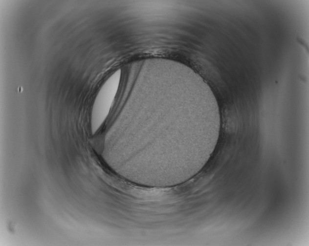 X0000099560036200806131244