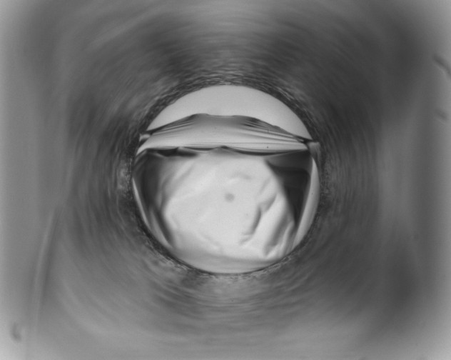 X0000099560037200806131244