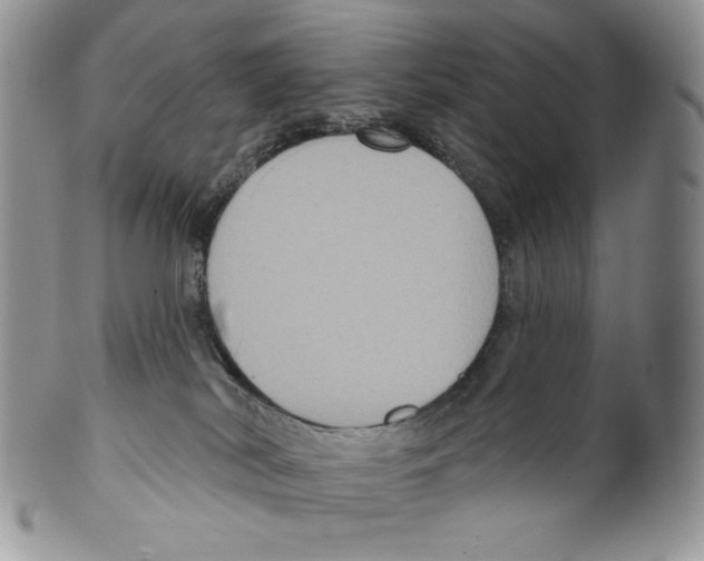 X0000099560038200806131244