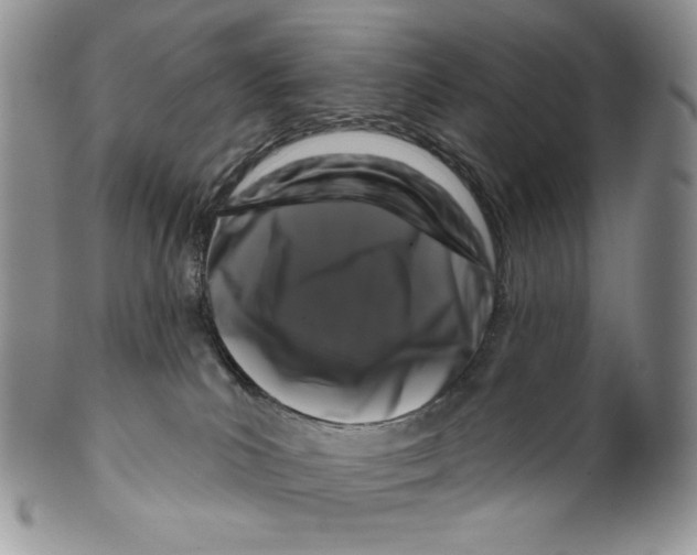 X0000099560039200806131244