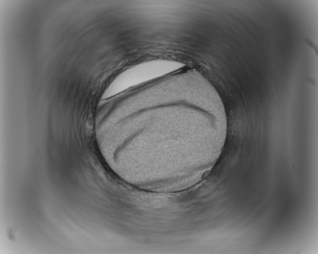 X0000099560040200806131244