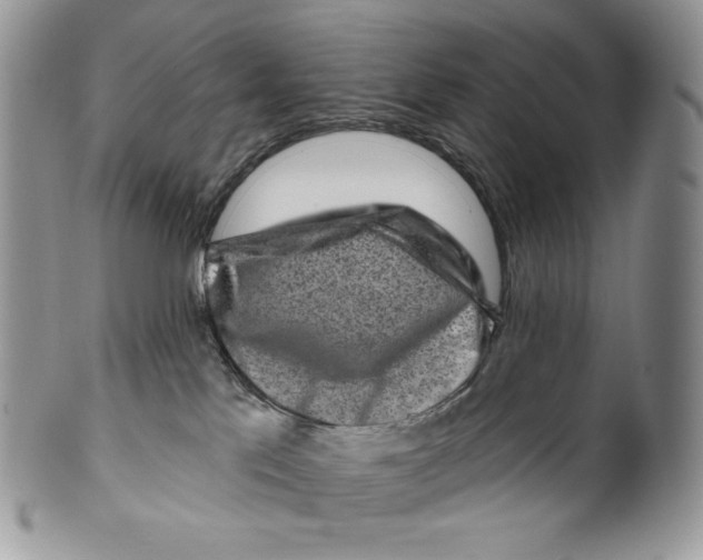 X0000099560041200806131244