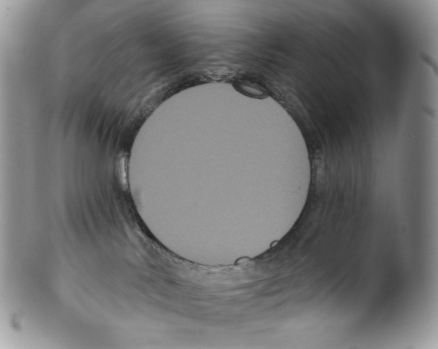 X0000099560042200806131244